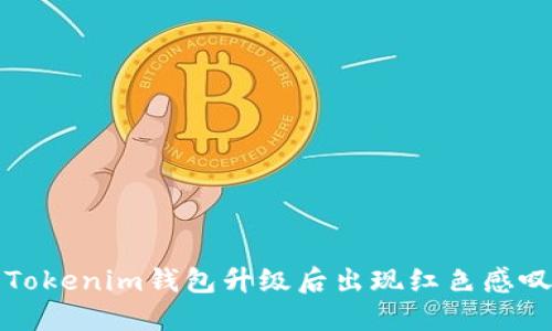 如何解决Tokenim钱包升级后出现红色感叹号的问题
