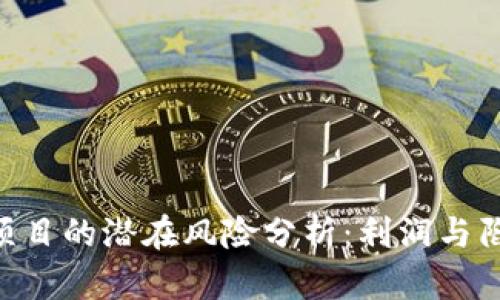 Tokenim项目的潜在风险分析：利润与陷阱的权衡