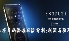 Tokenim项目的潜在风险分析：利润与陷阱的权衡