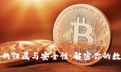 区块链钱包的归属与安全性：解密你的数字资产保护