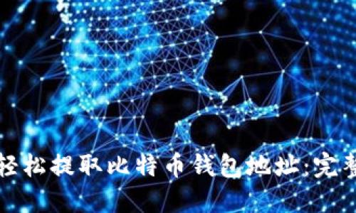如何轻松提取比特币钱包地址：完整指南