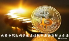 比特币钱包同步速度缓慢的原因及解决方案