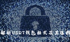 全面解析USDT钱包格式及其选择指南