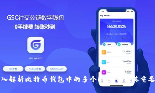 深入解析比特币钱包中的多个Hash串及其重要性