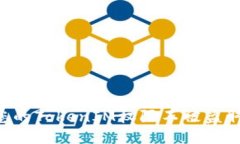 如何保护您的TokenIM权限不被盗取：全面指南