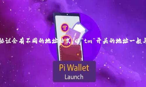 在区块链领域，钱包的地址通常是由一系列字母和数字组成的字符串，不同的区块链协议会有不同的地址格式。以“tm”开头的地址一般与特定的区块链或钱包相关，例如，可能与某些基于Tendermint核心技术的项目有关。

### 基于“tm”的钱包地址

#### tm开头的钱包地址：了解其背后的区块链技术和应用