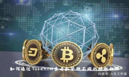 如何通过TokenIM查看和管理不同的授权权限