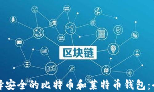 
如何选择安全的比特币和莱特币钱包：全面指南