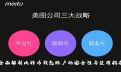 全面解析比特币钱包账户的安全性与使用指南