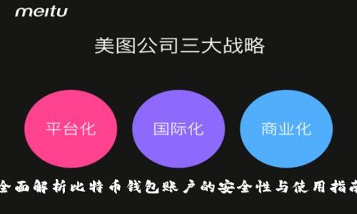 全面解析比特币钱包账户的安全性与使用指南