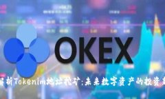 深入解析Tokenim地址挖矿：未来数字资产的投资新