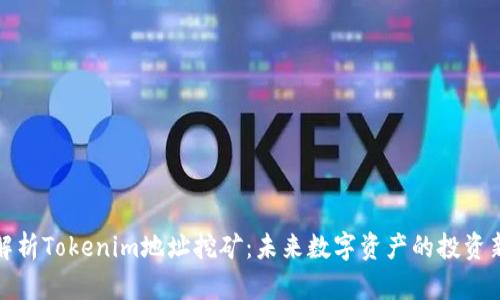 深入解析Tokenim地址挖矿：未来数字资产的投资新机遇