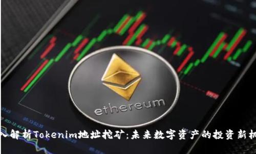 深入解析Tokenim地址挖矿：未来数字资产的投资新机遇