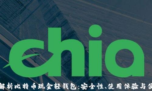 
全面解析比特币现金轻钱包：安全性、使用体验与便捷性