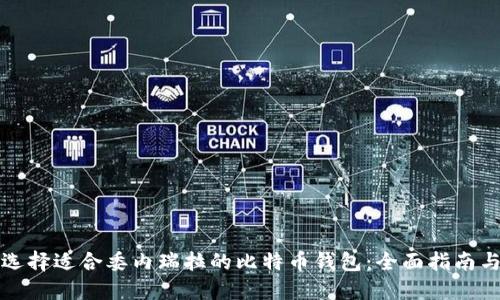 如何选择适合委内瑞拉的比特币钱包：全面指南与推荐