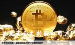 Tokenim钱包未来是否会支持国内用户？深入分析与