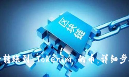 如何查看转账到 Tokenim 的币：详细步骤与技巧