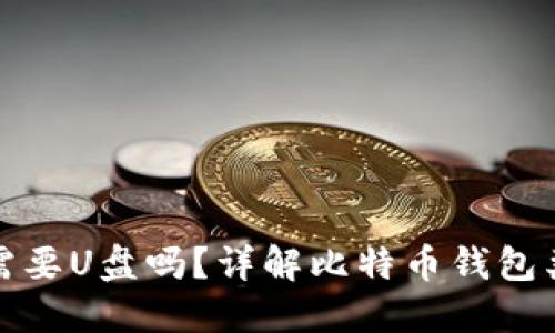 比特币钱包需要U盘吗？详解比特币钱包类型及安全性