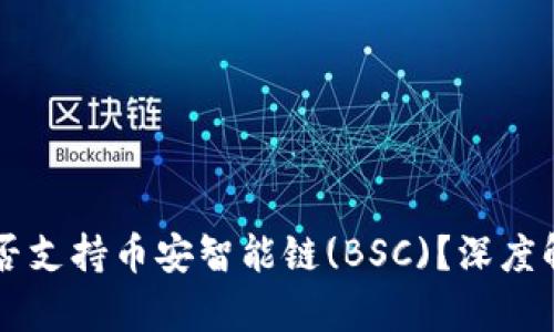 以太坊钱包是否支持币安智能链(BSC)？深度解析与使用指南