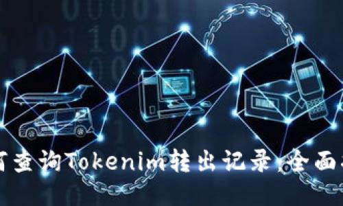 如何查询Tokenim转出记录：全面指南